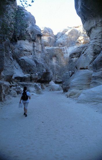 Frühmorgens laufen wir zur Felsenstadt Petra