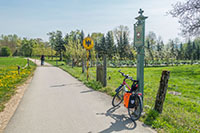 Radtouren am Bodensee