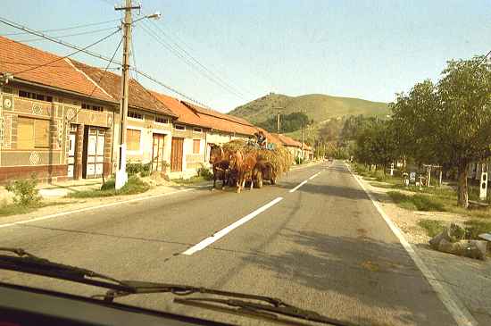 Rumänisches Dorf mit typischem Verkehrsmittel