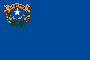 Flagge Nevada