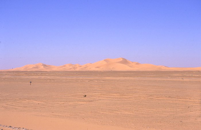 Die Dünen sind mal mehr und mal weniger weit von der Straße entfernt