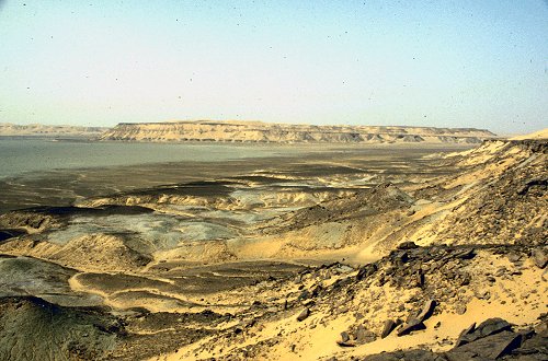 Der Abbruch der Hammada al Hamra