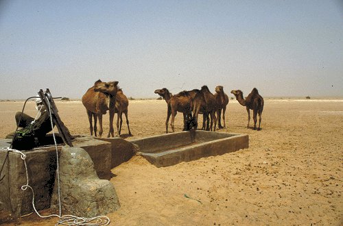 Der Brunnen El Hassi