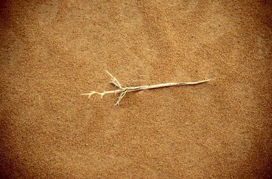 Reifenkiller im Sand
