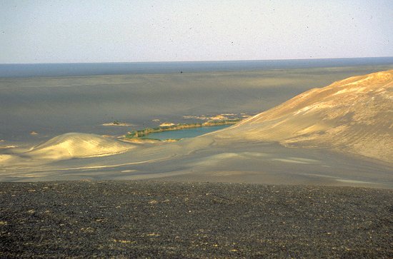 Der grüne See