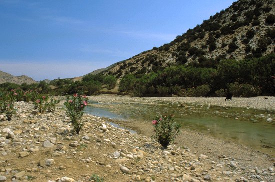 Schönes Tal in den tunesischen Bergen