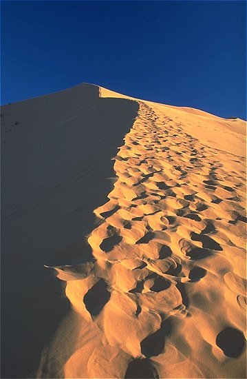 Es ist noch ein weiter Weg bis zum Gipfel ...