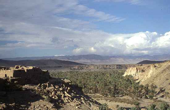 Schlucht kurz hinter Foum-Zguid