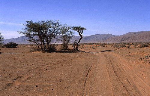 Weicher Sand macht das Fahren nicht einfacher.