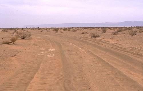 Weiter in Richtung Zagora, wird die Piste durch verspurten Sand schwer zu befahren.