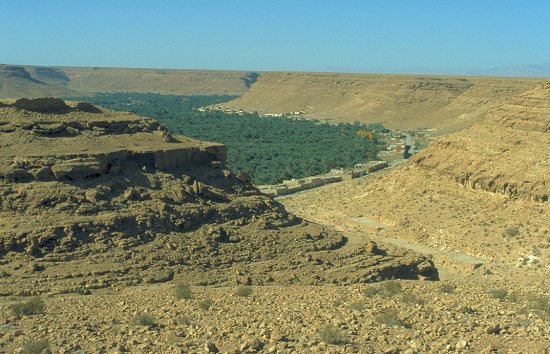 Der Gorges du Ziz, südlich von Er Rachidia, beherbergt unendlich viele Dattelpalmen
