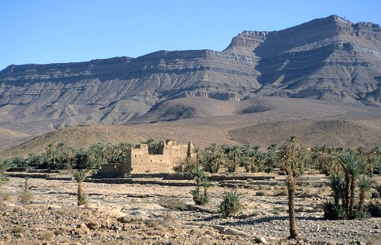 Dattelplantage mit verfallener Kasbah