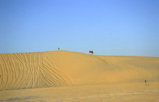 Die Spuren stammen von zahlreichen Geländewagen