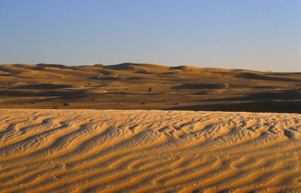 Eiskristalle auf dem durch Wind gestaltetem Sand