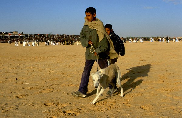 Kinder mit Windhund fr das Hunderennen
