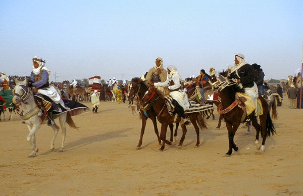 Cavalcade