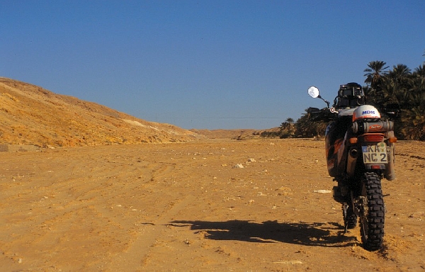 Wadi bei Tamerza