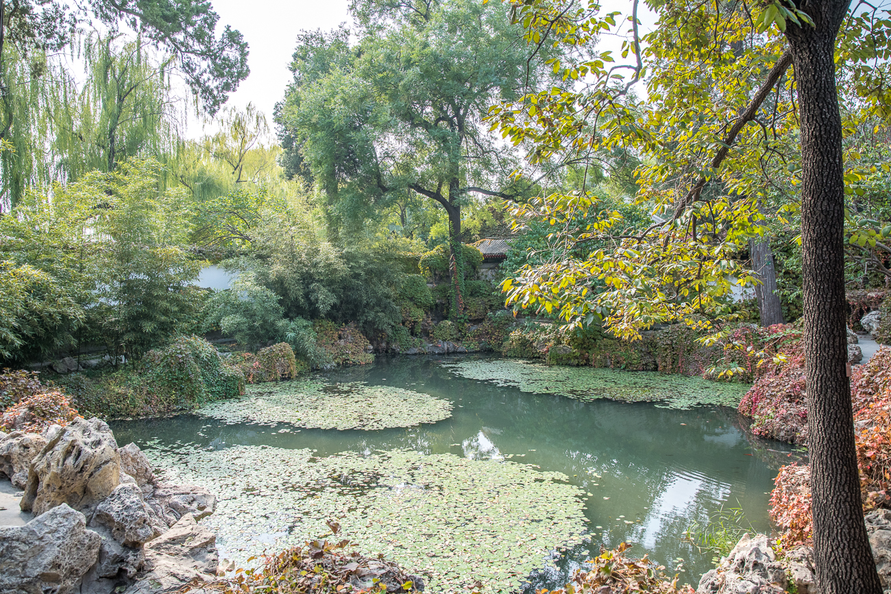 Teich mit herbstlicher Umrandung