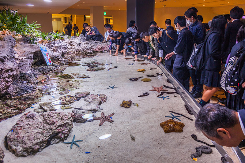 Gleich am Eingang ist ein Becken ...