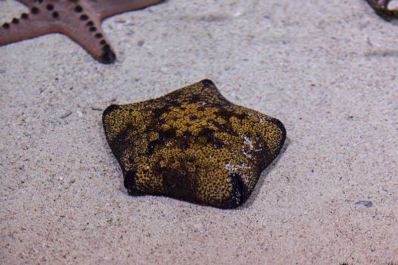 ... und hier benennen ;-)