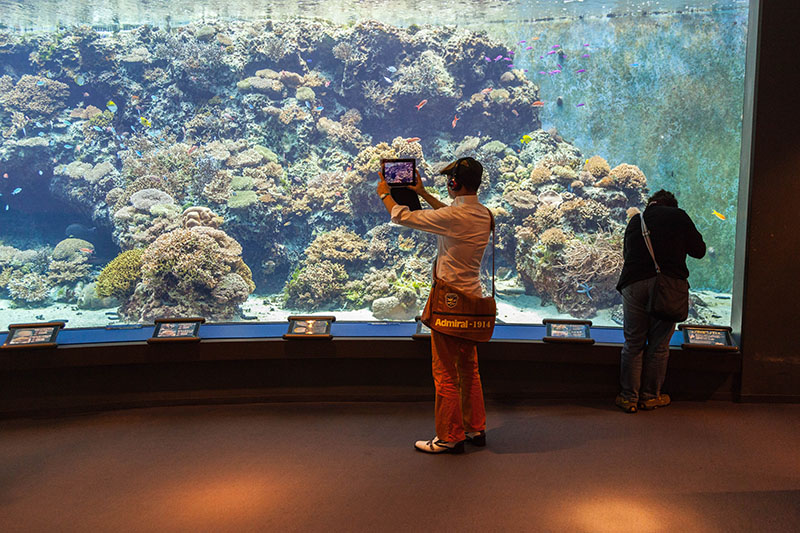 Das Tablet ist fast so groß wie das Becken ;-)