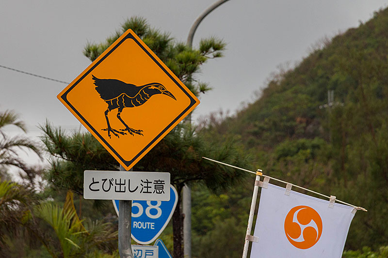 Wir kommen in das Rallengebiet