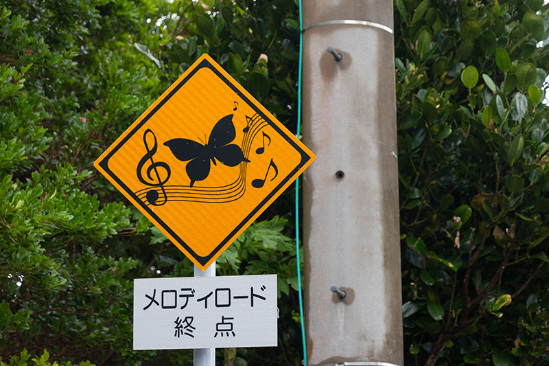 Auf dem Rückweg verfahren wir uns und finden zufällig eine "singende Straße"