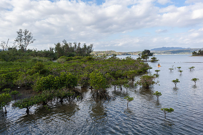 Mangrovengebiet zwischen den Inseln