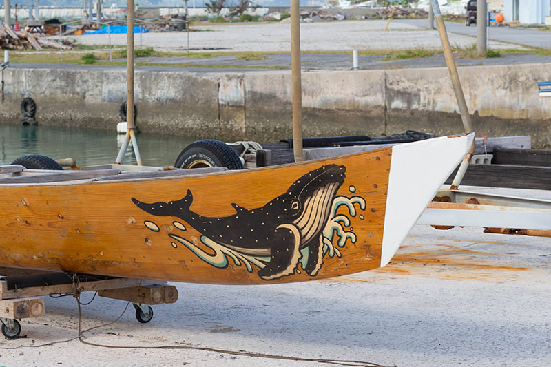 Schönes Bild eines Buckelwals