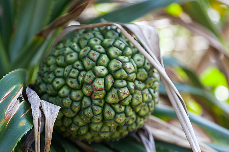 Carlo entdeckt am Leuchtturm ...