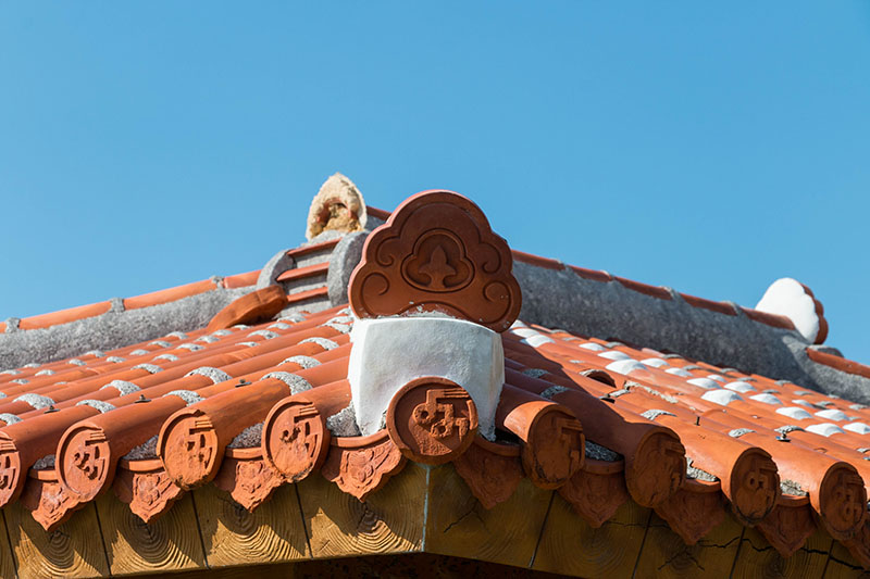 Traditionelle Dachpfannen