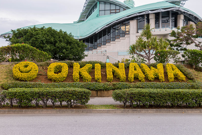 Petra streift derweil durch den Park am Center