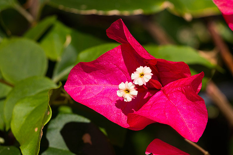 Außerdem findet man überall ...