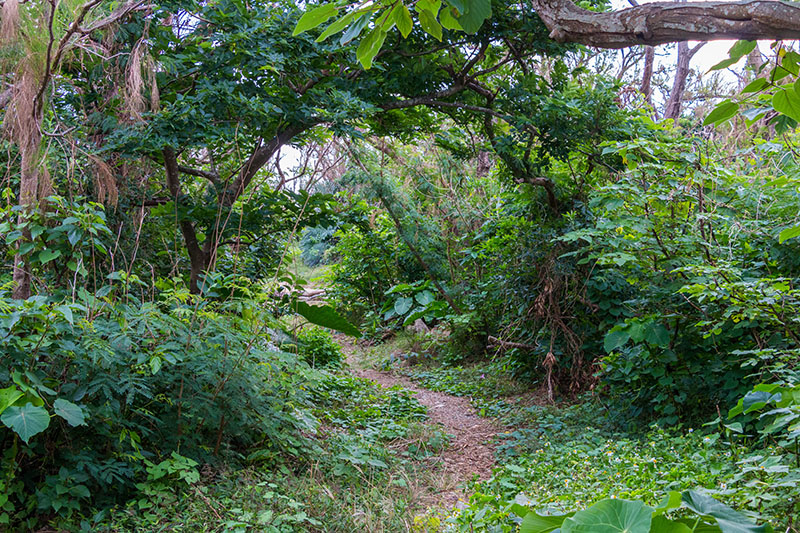 Jetzt auch noch bücken ;-)