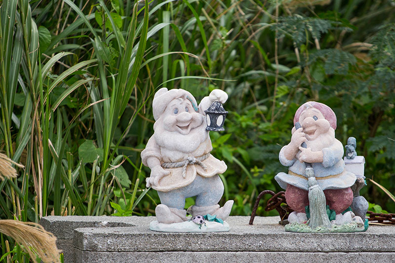 Die hätten wir hier nicht erwartet ;-)