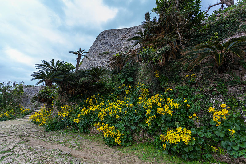 Überhaupt sind hier viele Pflanzen anzufinden ...