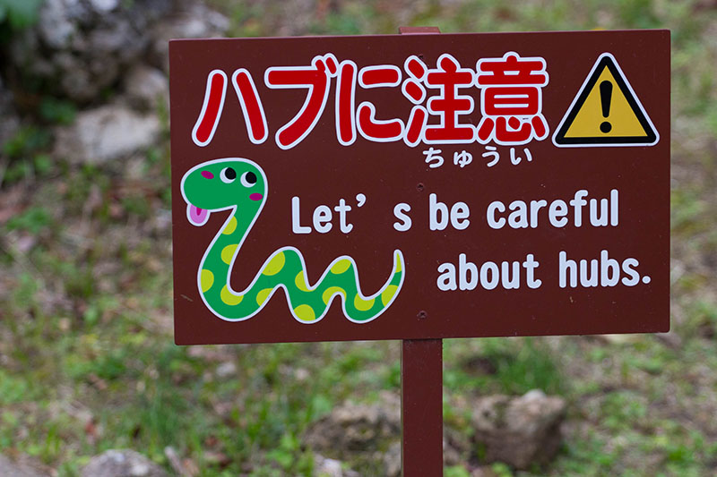 ... deren Untermieter nicht ganz ungefährlich sind