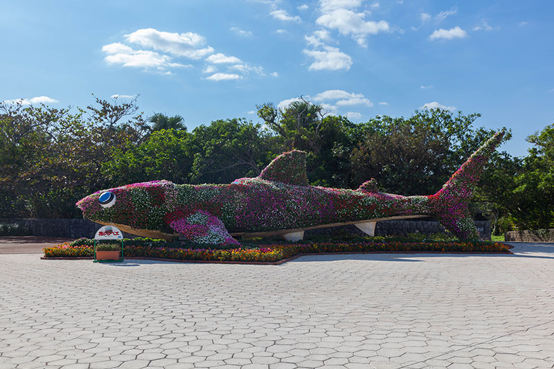Viele Tiere wurden mit Blumenarrangements nachgestellt, hier der Walhai