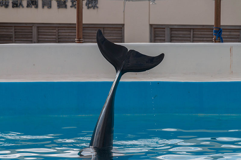 ... und lassen uns nicht nahe heran