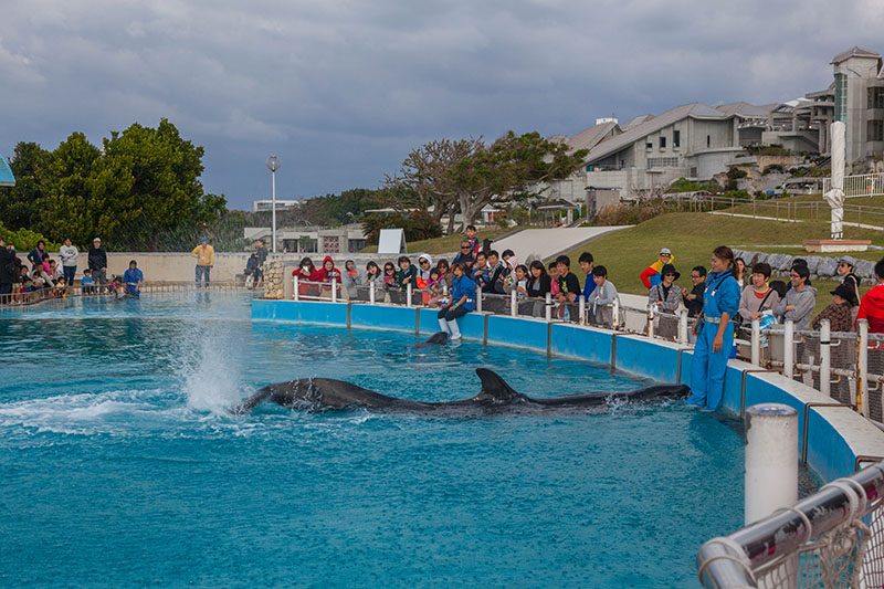 Hier macht er die Zuschauer nass ...