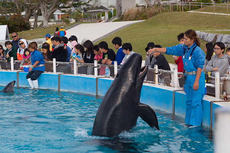 ... und hier wird er dafür belohnt ;-)