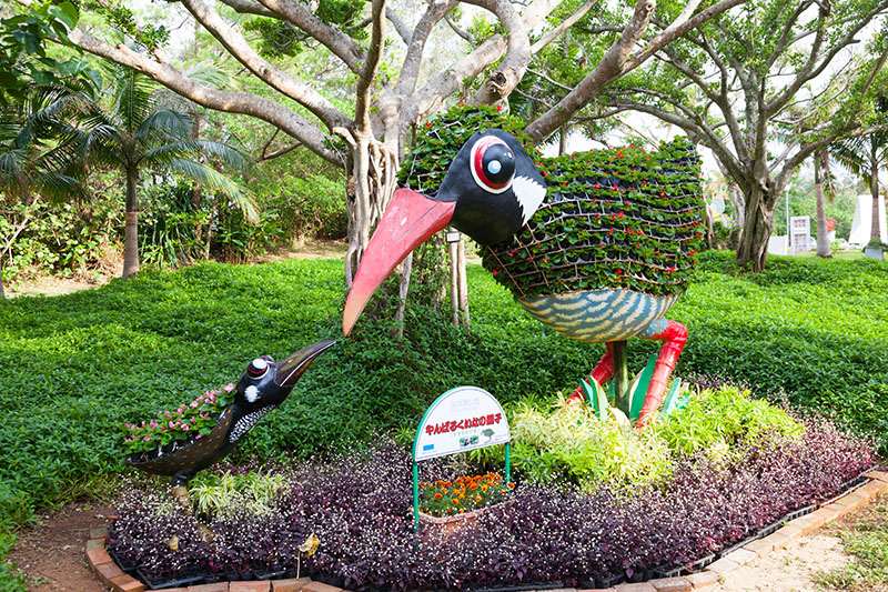 Noch ein paar Blumenarragements, hier die seltene Ralle