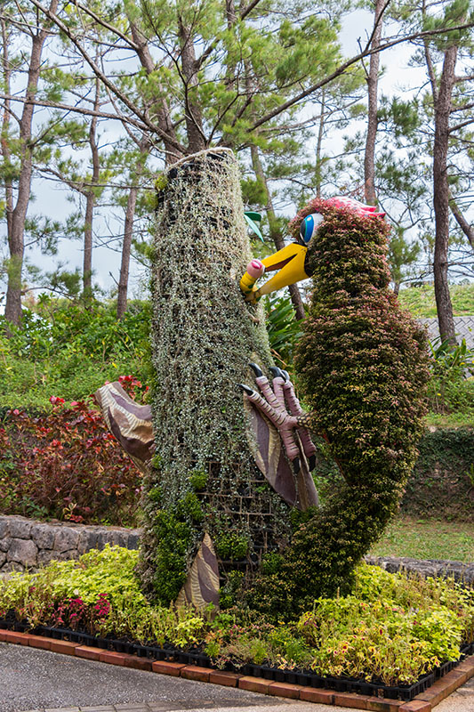 Ein Specht zieht eine Made aus dem Baum ;-)