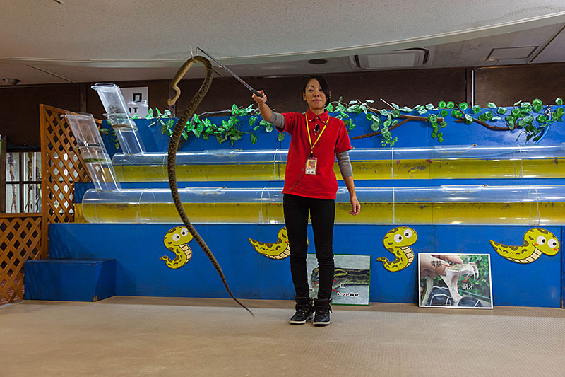 Die Schlangendomteuse