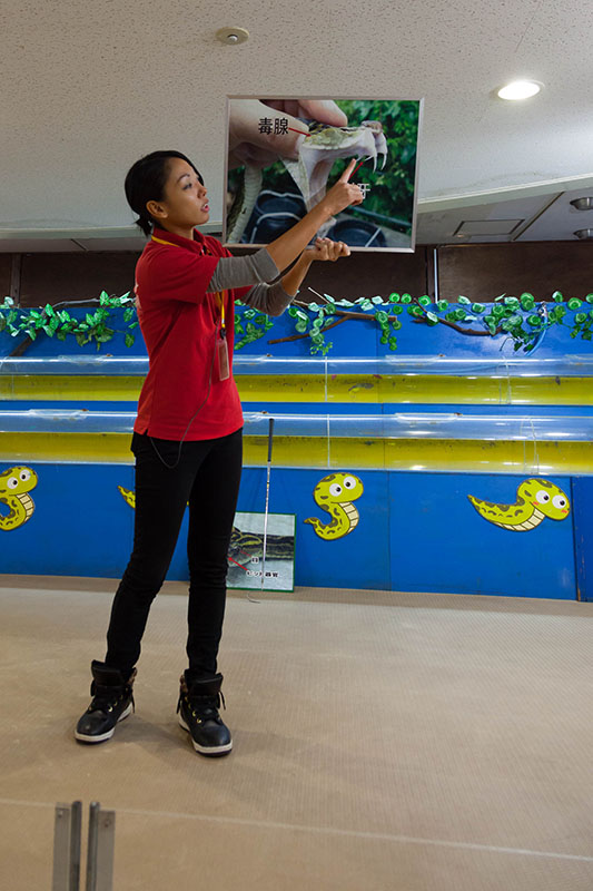 Die Erklärungen waren sicher interessant, aber leider nur auf Japanisch :-(