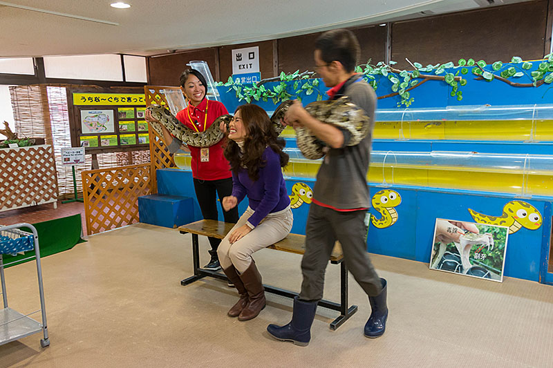 Und immer das Weibergekreische ;-)