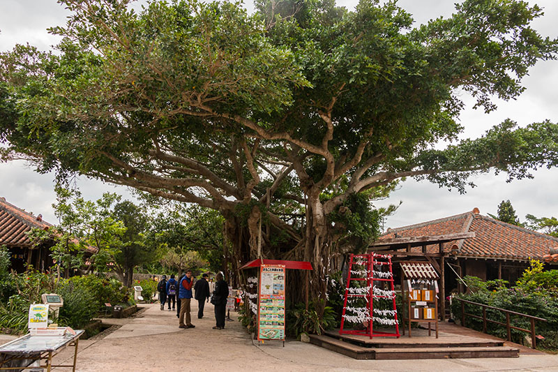 An das Gestell unter dem Baum kann man seine Wünsche aufschreiben und befestigen