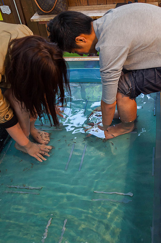 Käse fressende Fische? ;-)
