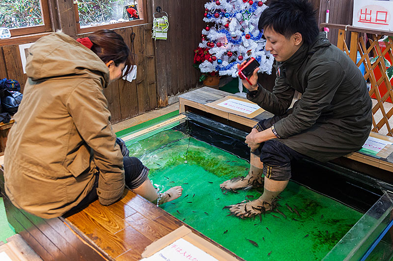 Hier kann man sich die toten Hautschuppen abfuttern lassen