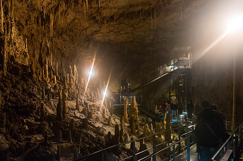... war leider ständig das Objektiv beschlagen